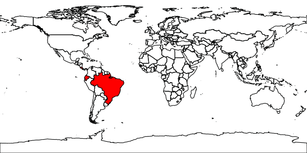 map of Rhopalosoma alvarengai     Townes, 1977
